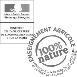 Logo Ministère de l'Agriculture et de l'Agroalimentation et de la Forêt grisé